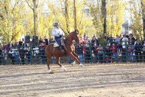 IMG_9912