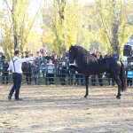 IMG_9962
