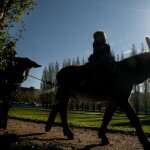 Passeig amb ponis