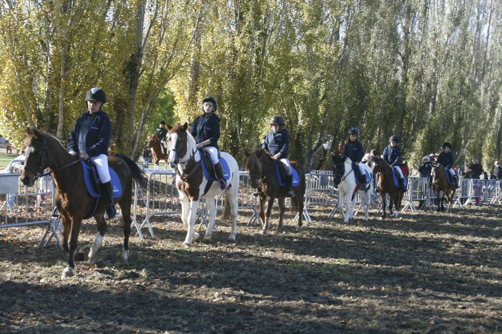 carrusel bosqueros