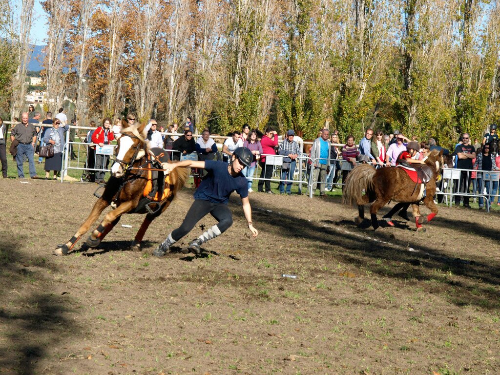 poni-games-fira-sant-martirtia-banyoles