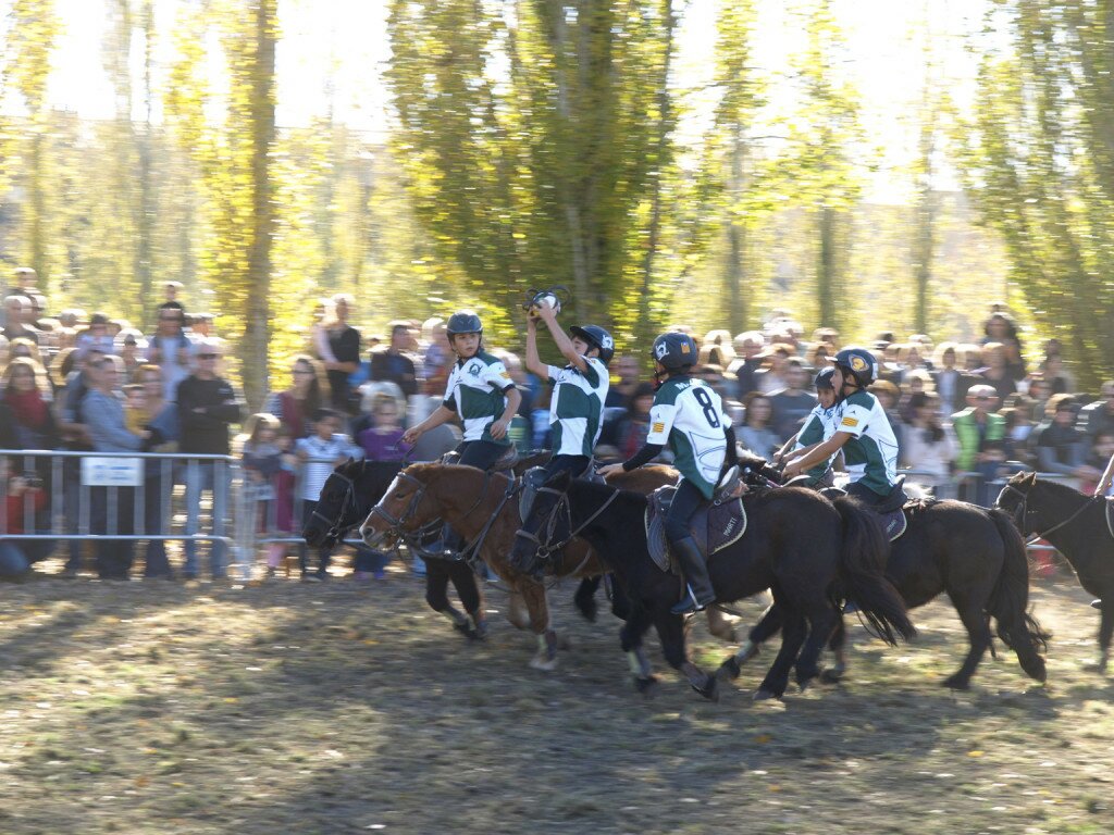 FIRA-SANT-MARTIIRA-BANYOLES-HORSEBALL
