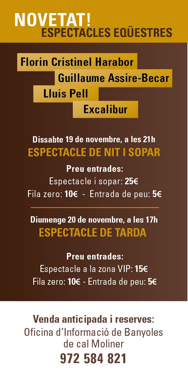 fira-sant-martiria-banyoles-espectacle-cavalls