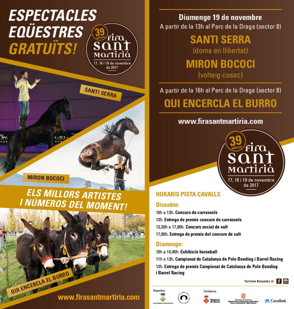 flyers espectacle 10x21_FSM'17