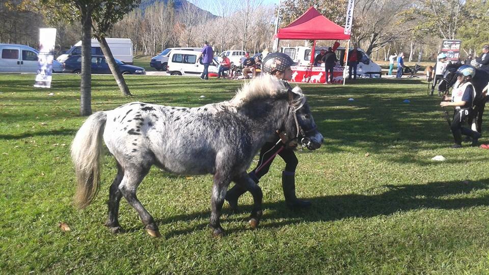 fira-sant-martiria-banyoles-raid